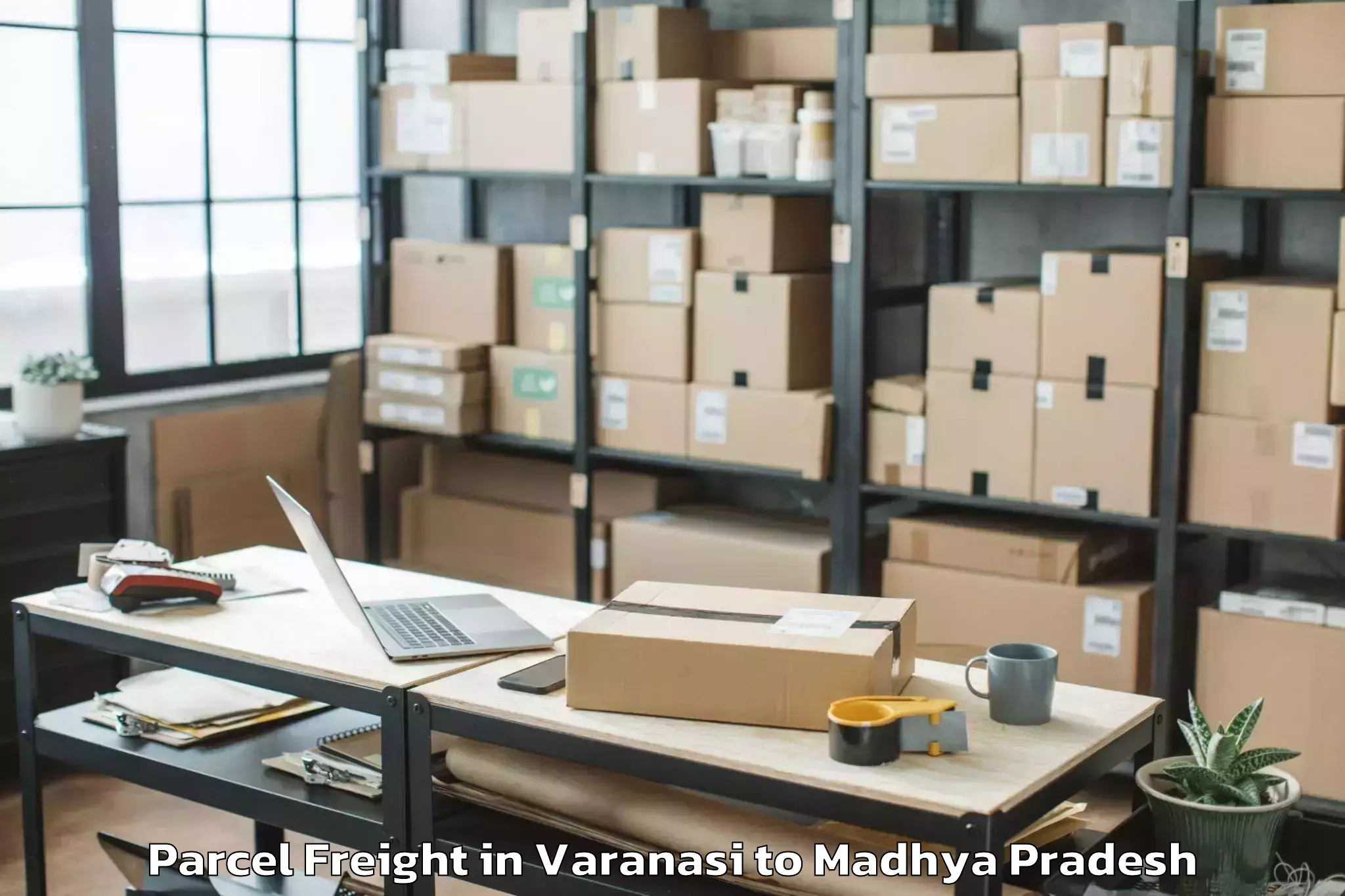 Professional Varanasi to Mhow Parcel Freight